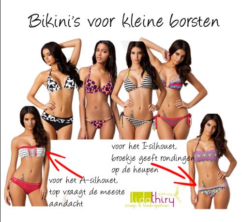 opstelling kas Bedienen Vijf bikinitips voor kleine borsten - Lida Thiry